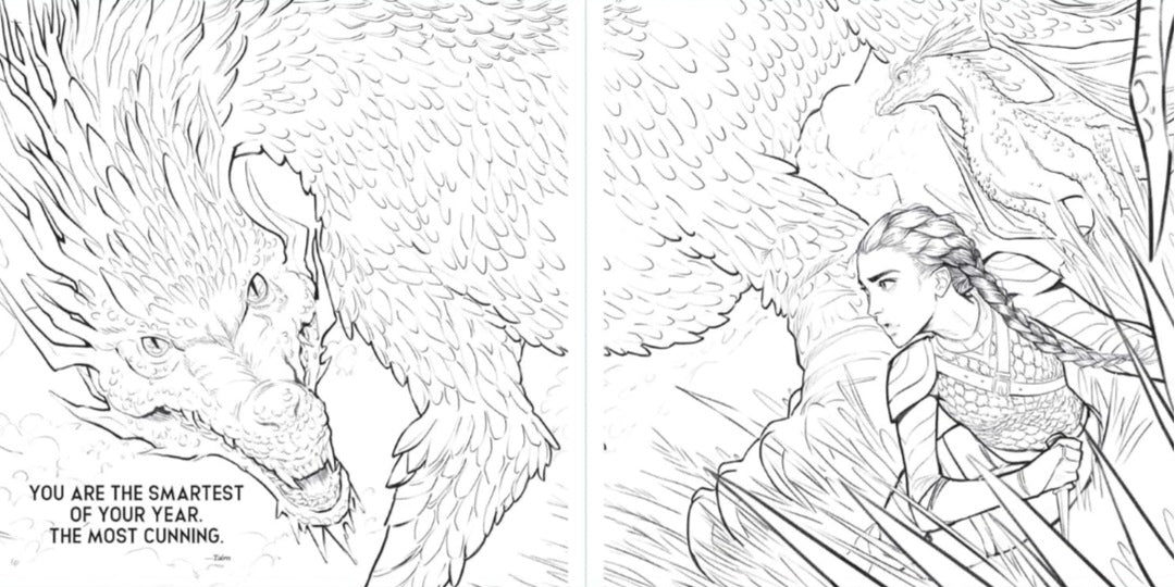 Official Fourth Wing Colouring Book