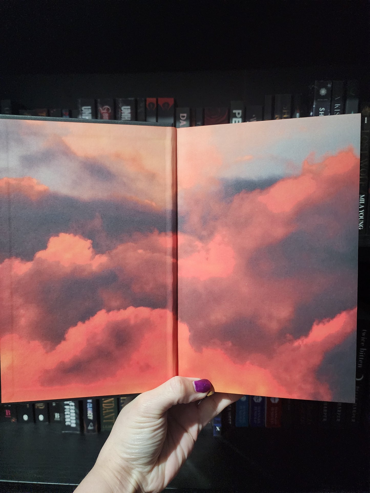 A Fire in The Sky | Sophie Jordan | Special Edition