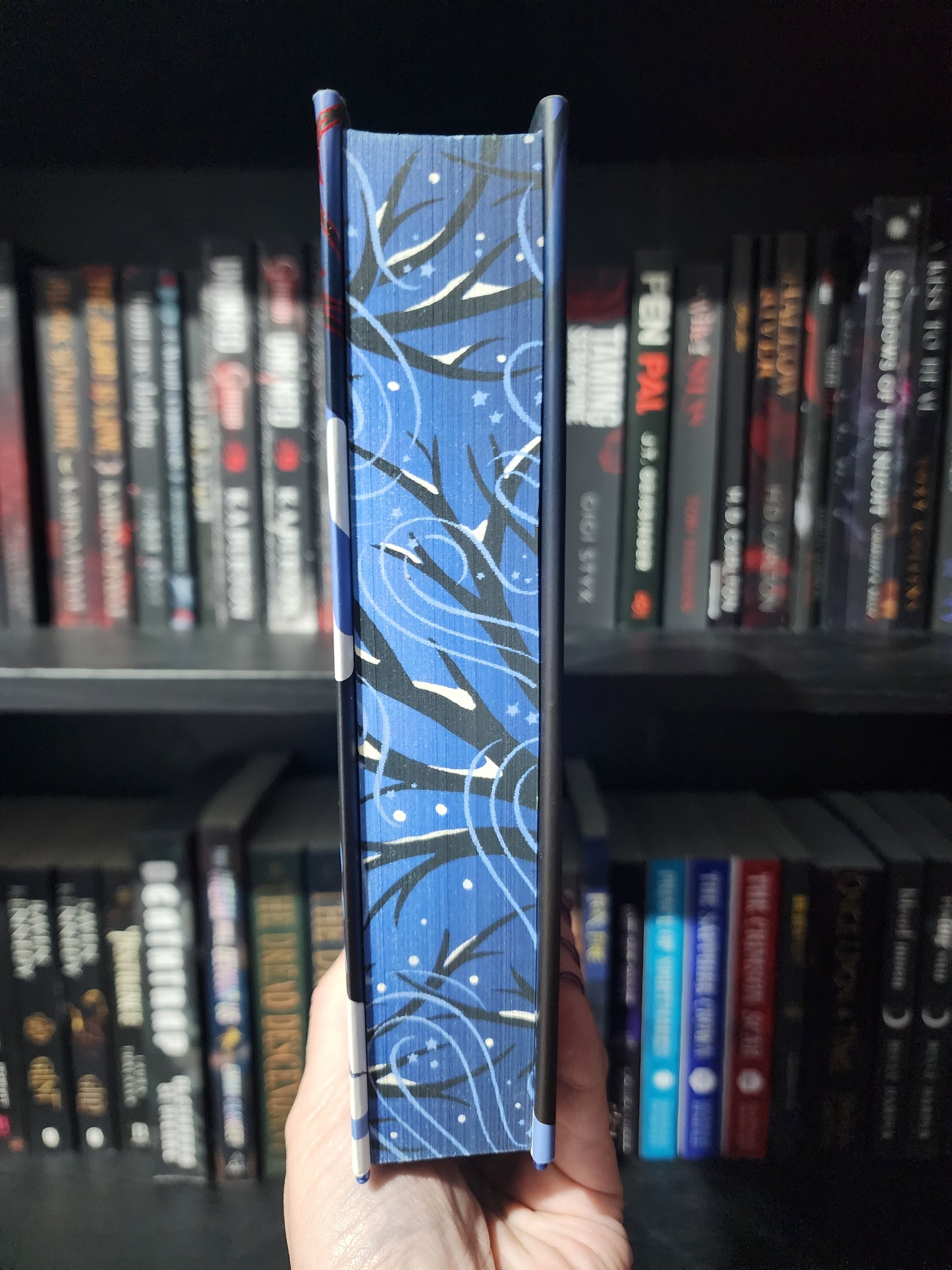 North is the Night | Emily Rath | Special Edition