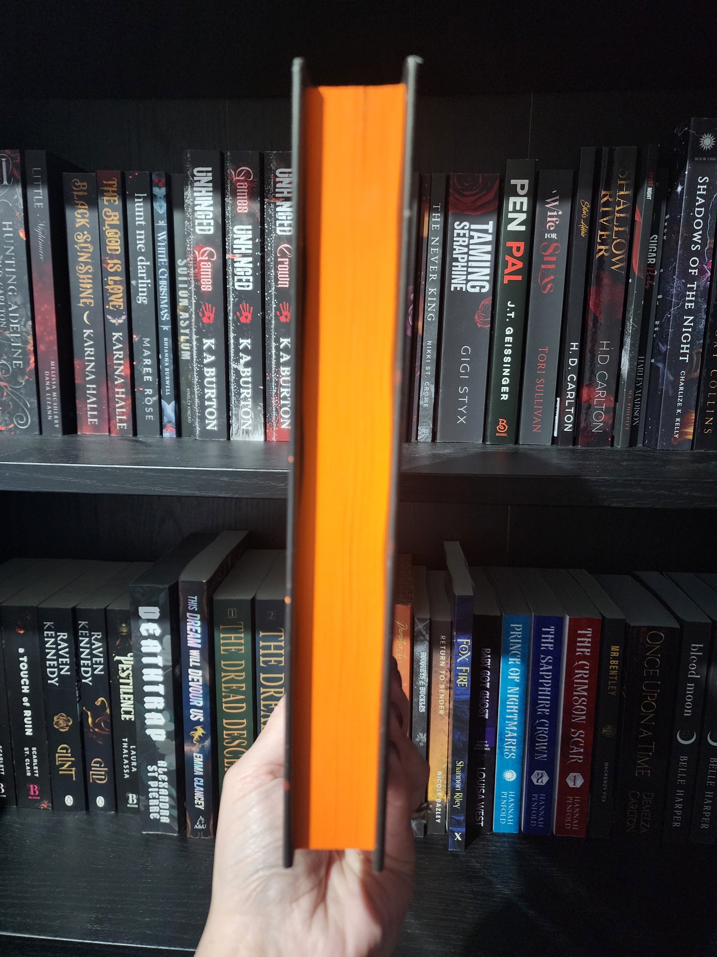 A Fire in The Sky | Sophie Jordan | Special Edition