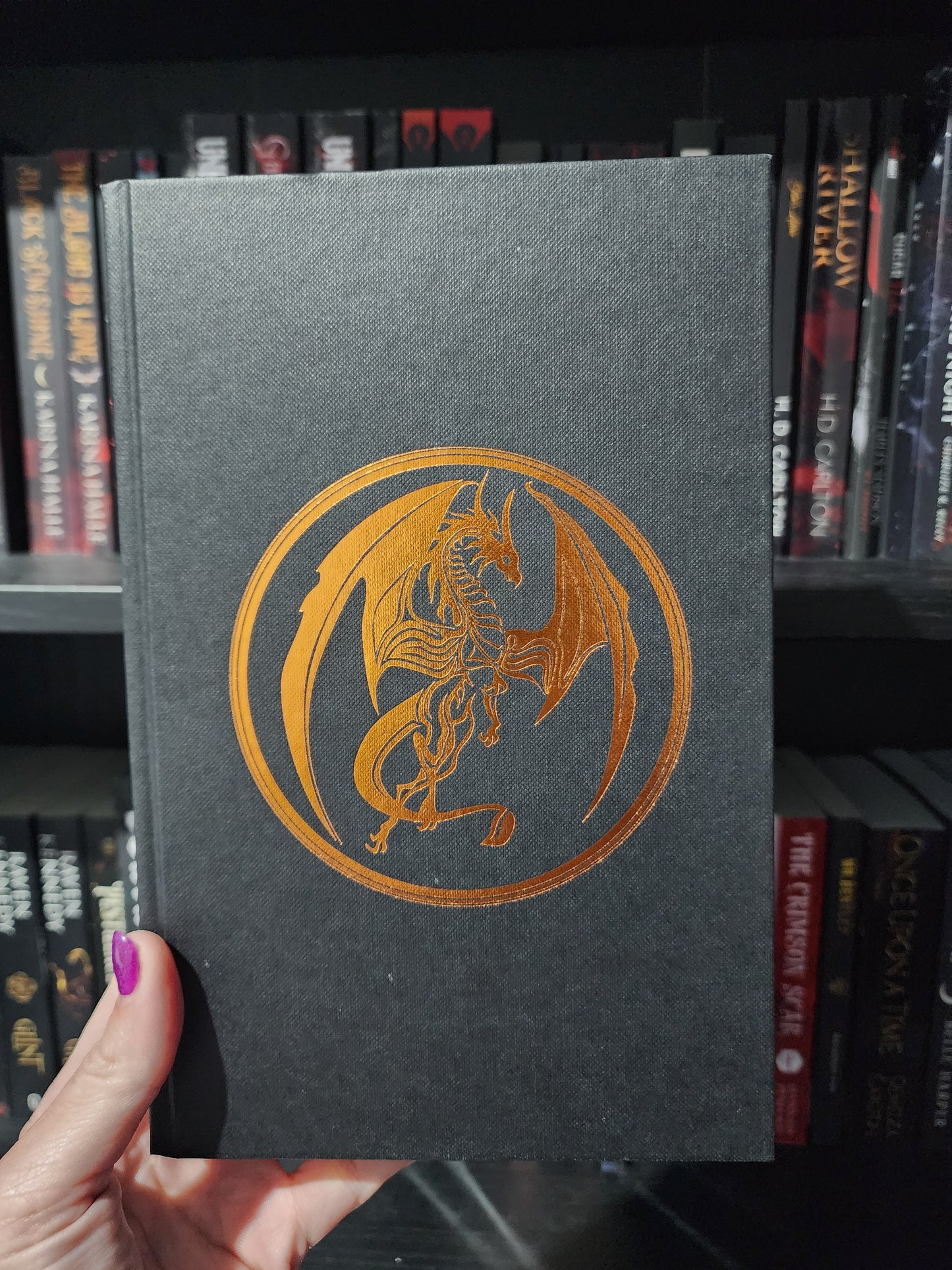 A Fire in The Sky | Sophie Jordan | Special Edition