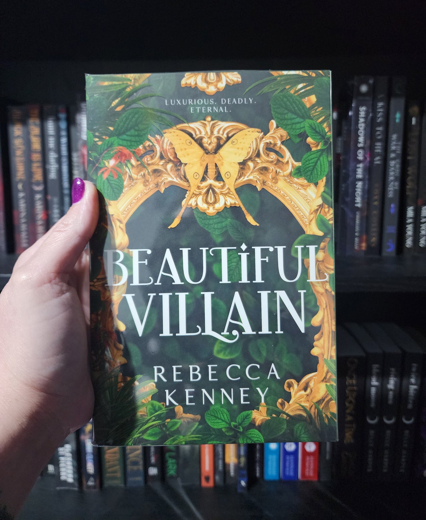 Beautiful Villain | Rebecca Kenney | Special Edition