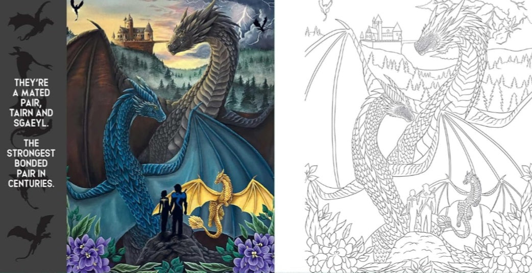 Official Fourth Wing Colouring Book